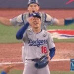 ¡¡¡¡¡   B  I  C  A  M  P  E  O  N  E   S   !!!!!